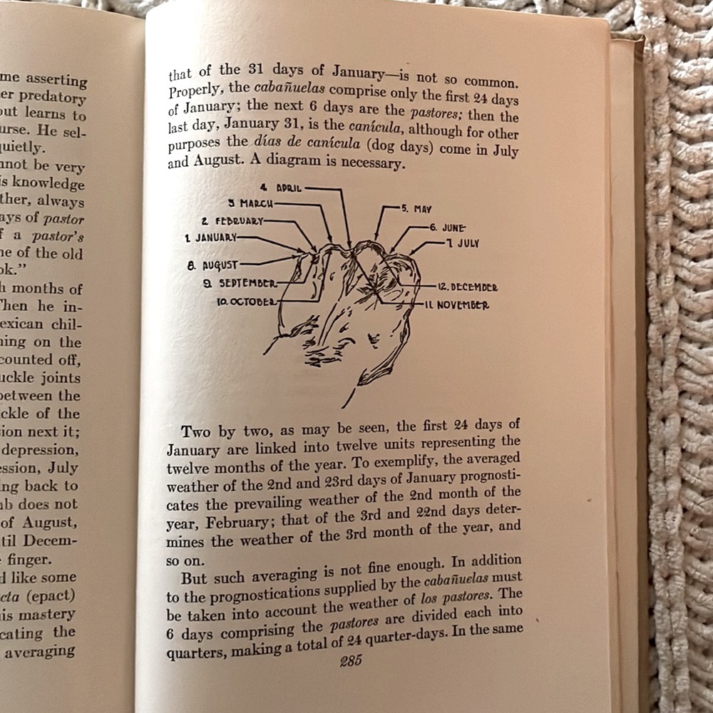 ❤️RARE Book- Tongues of the Monte by J. Frank Dobie Classic Western Literature❤️ - Picture 14 of 15